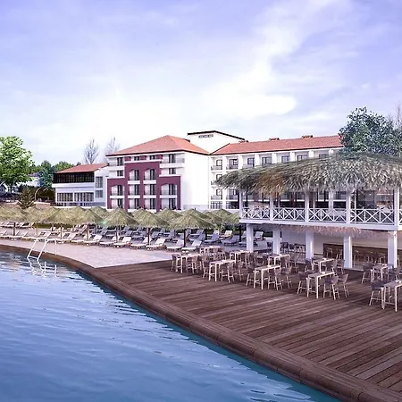 Gaia Beach 코자엘리