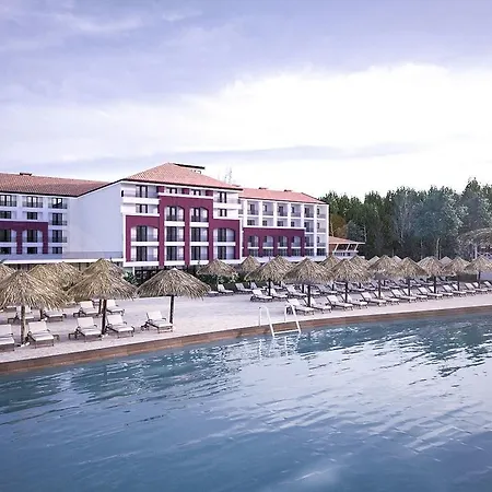 Gaia Beach 코자엘리